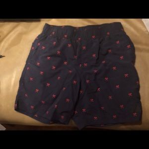 The North Face shorts